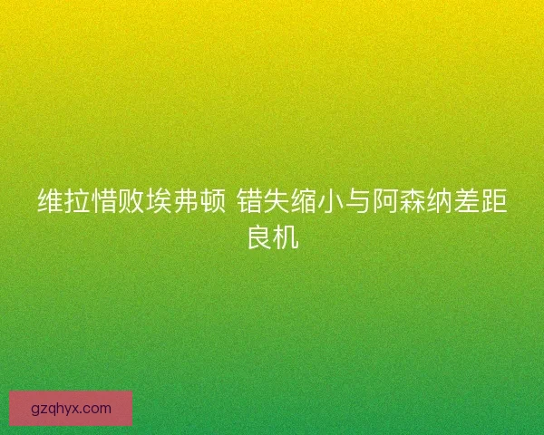 维拉惜败埃弗顿 错失缩小与阿森纳差距良机